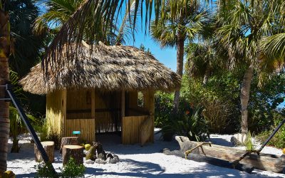 Indulge in the South Pacific at Selby Gardens