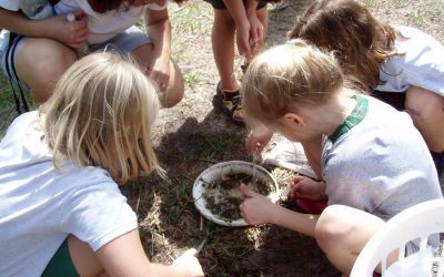 Camp Bayou gets ready for summer!